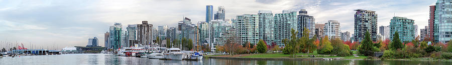 Coal Harbour Panorama Photograph by Michael Russell