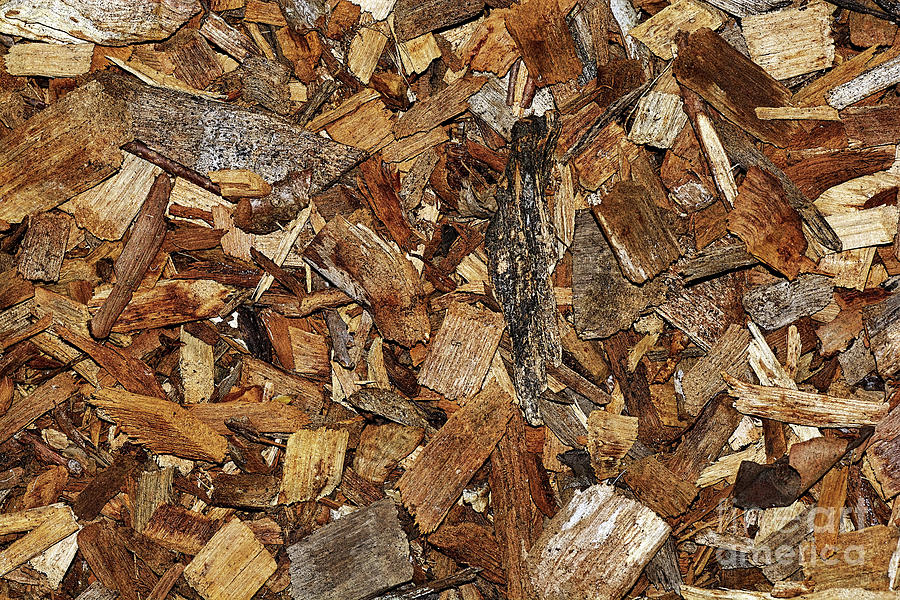 Abstract Photograph - Coarse Wood Chips Abstract by Kaye Menner by Kaye Menner