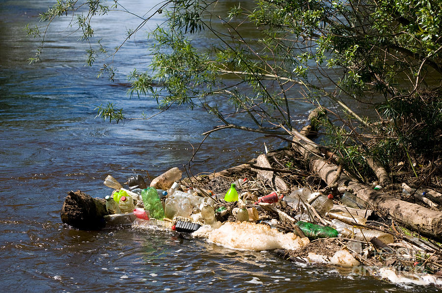 Coast and plastic bottles garbage damage river  Photograph by Arletta Cwalina