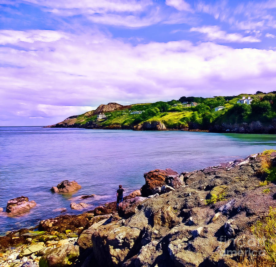 Rocky Coast at Howth Photograph by Judi Bagwell