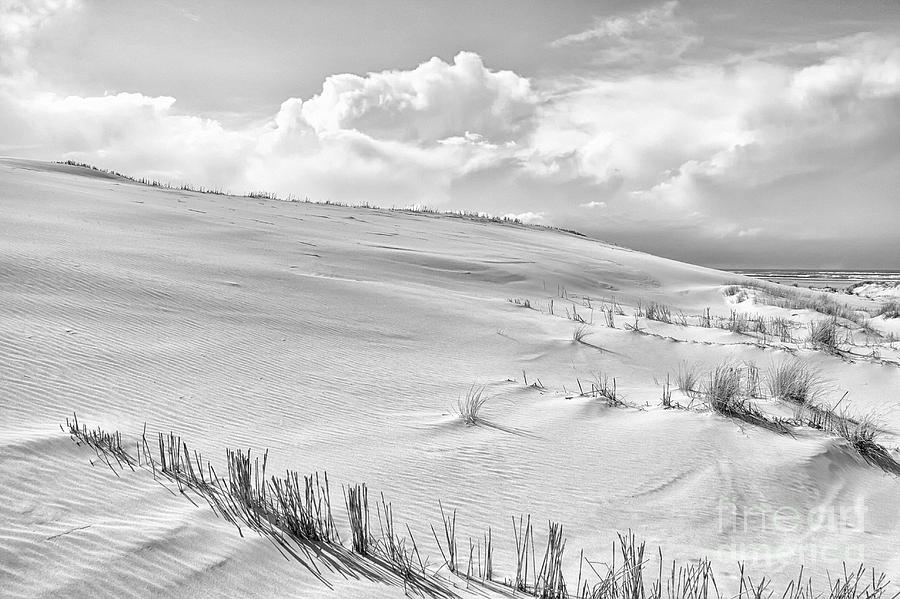 Coast dunes Black White Photograph by Jan Brons
