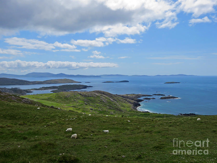 Coast of Ireland on Ring of Kerry Photograph by Cindy Murphy - NightVisions 