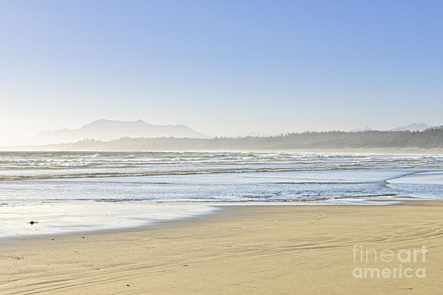 Pacific Photograph - Coast of Pacific ocean on Vancouver Island 1 by Elena Elisseeva
