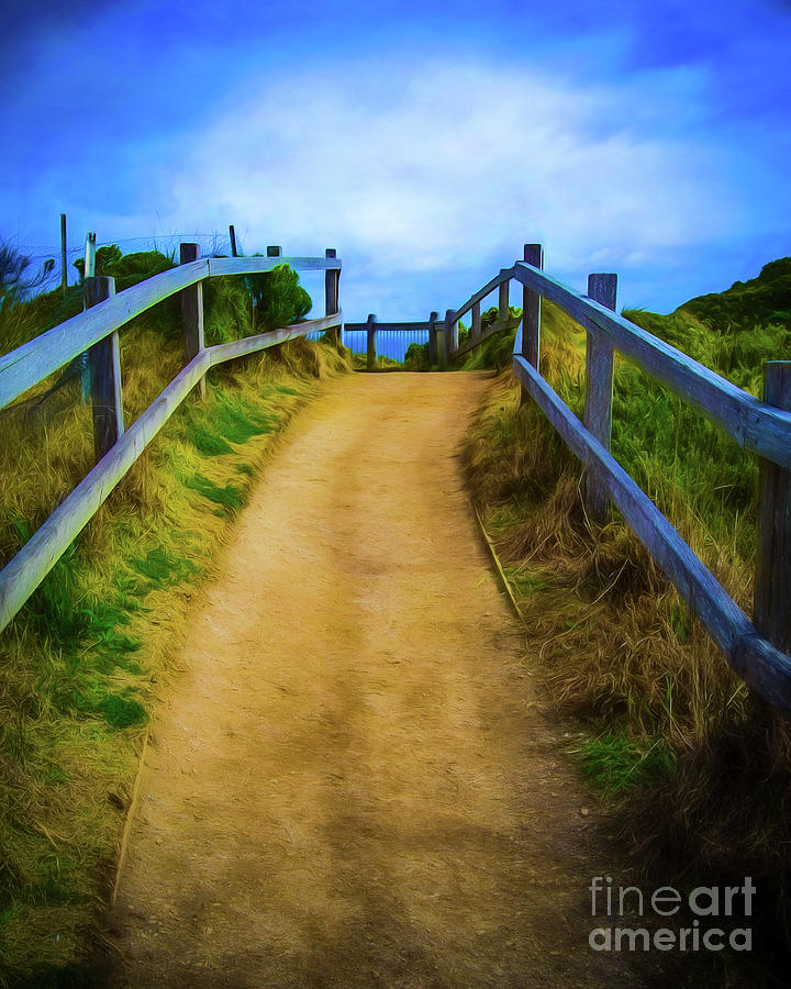 Coast Path Photograph by Perry Webster
