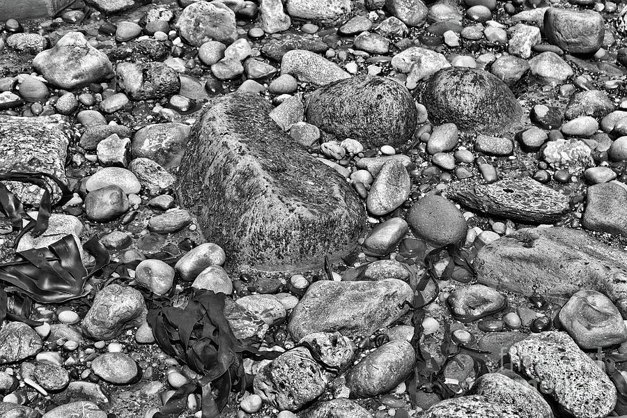 Coast - Pebbles Photograph by Esoterica Art Agency