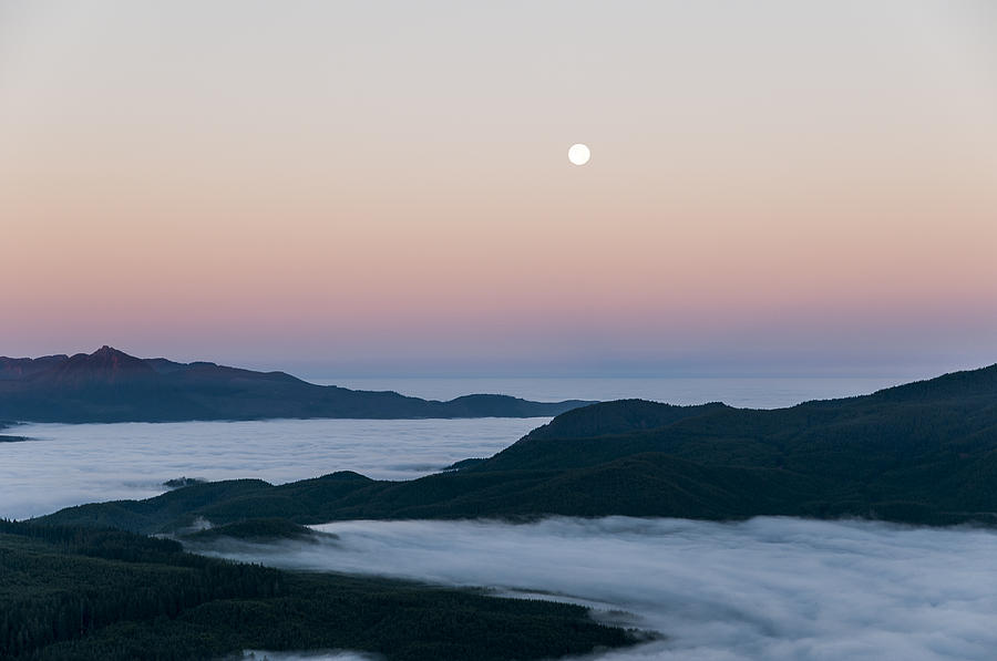 Coast Range and Ground Fog Photograph by Robert Potts