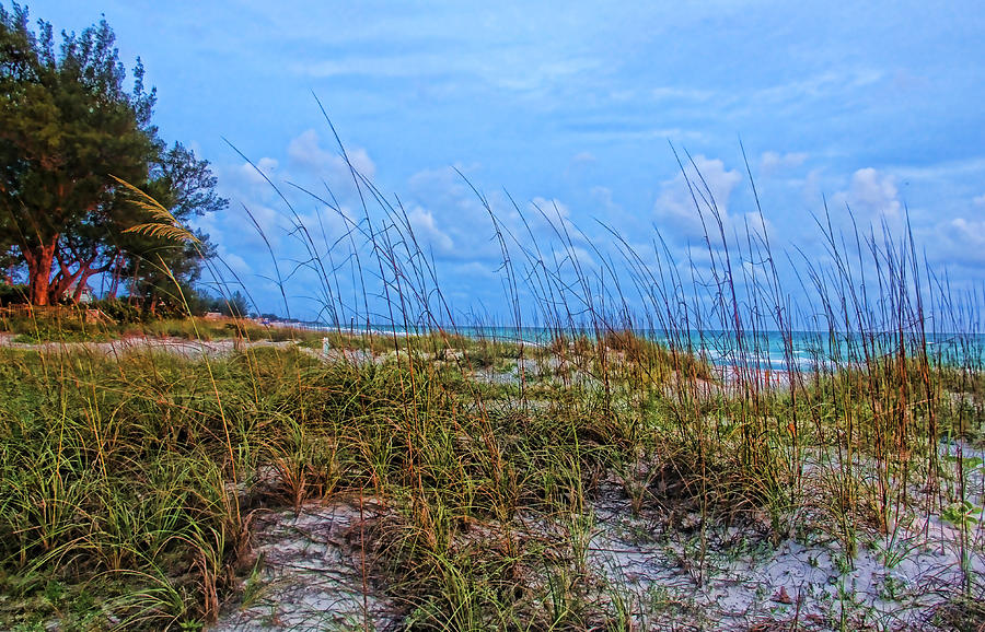 Coastal Anna Maria Island Photograph by HH Photography of Florida