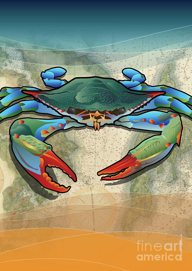 Coastal Blue Crab Digital Art by Joe Barsin