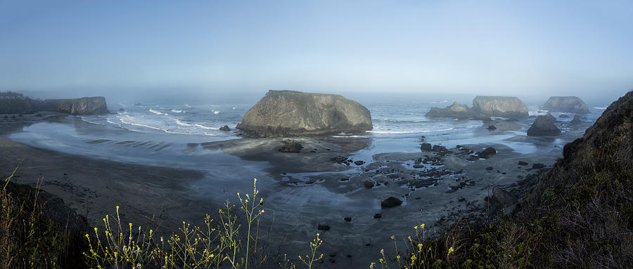 Nature Photograph - Coastal California 1 by Alan Kepler