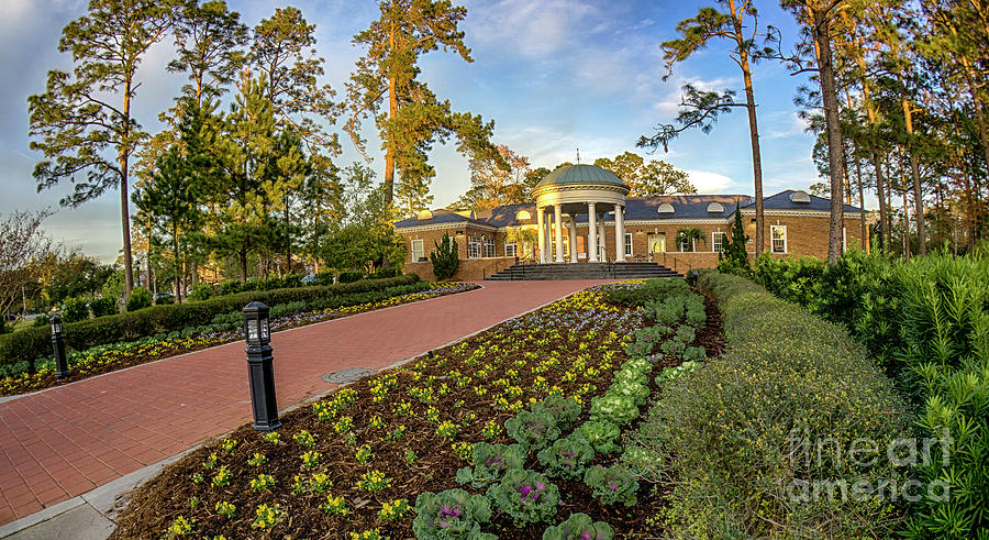 Coastal Carolina University Photograph by David Smith