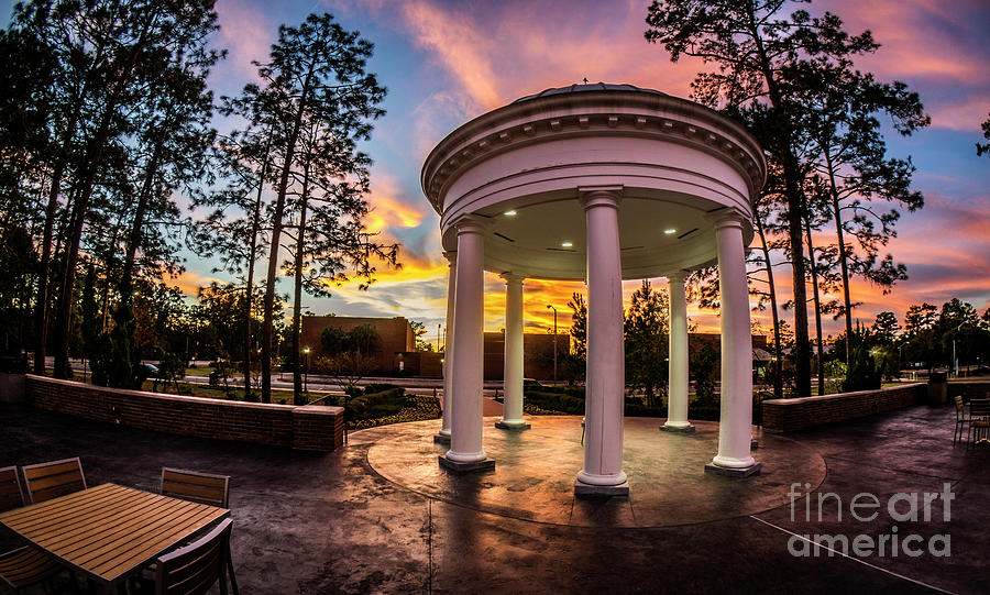 Coastal Carolina University Sunset Photograph by David Smith