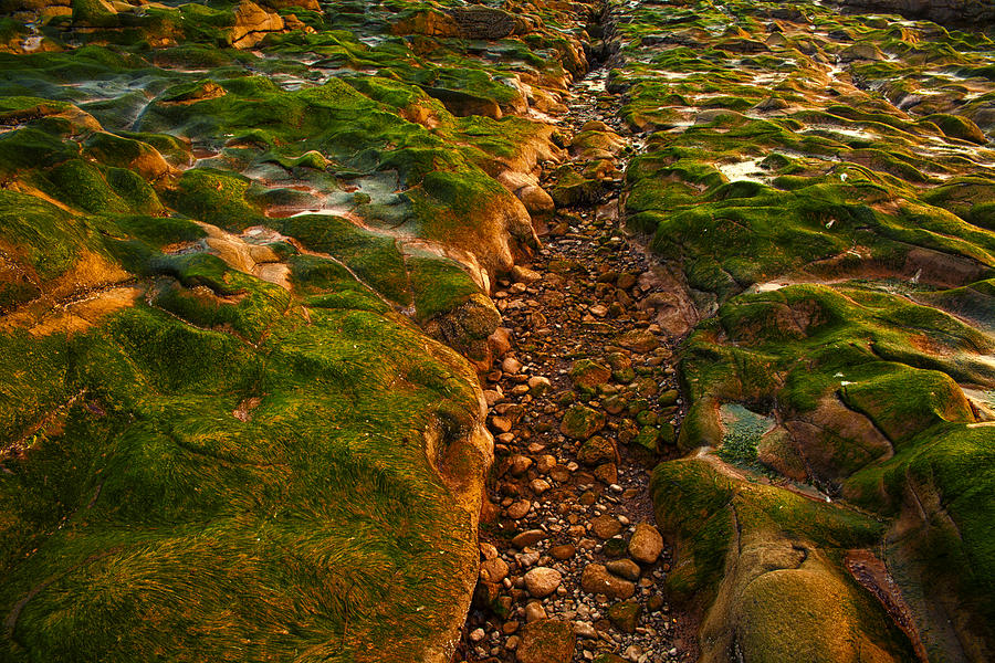 Coastal Crevice Photograph by Irwin Barrett