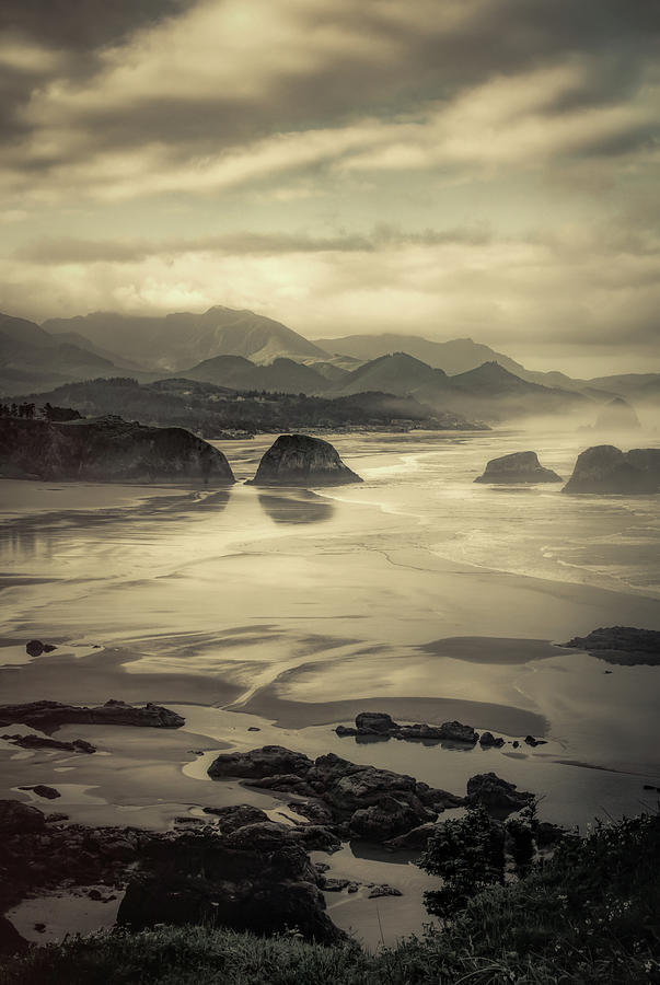 Coastal Dawn Photograph by Don Schwartz