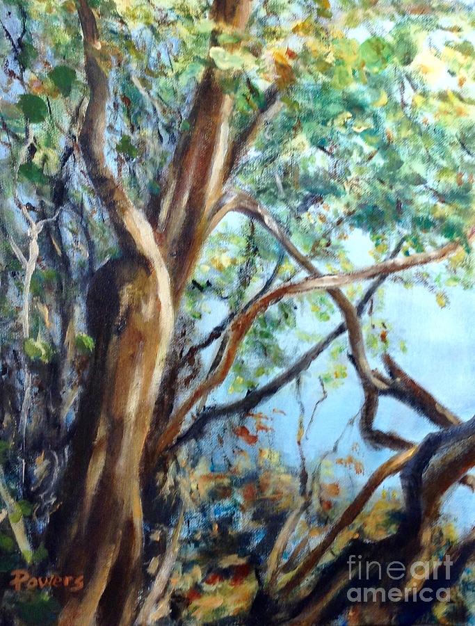 Nature Painting - Coastal Forest by Mary Lynne Powers