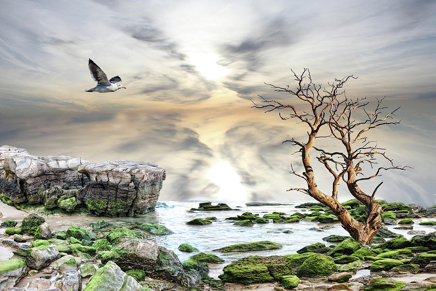 Coastal landscape  Photograph by Angel Jesus De la Fuente
