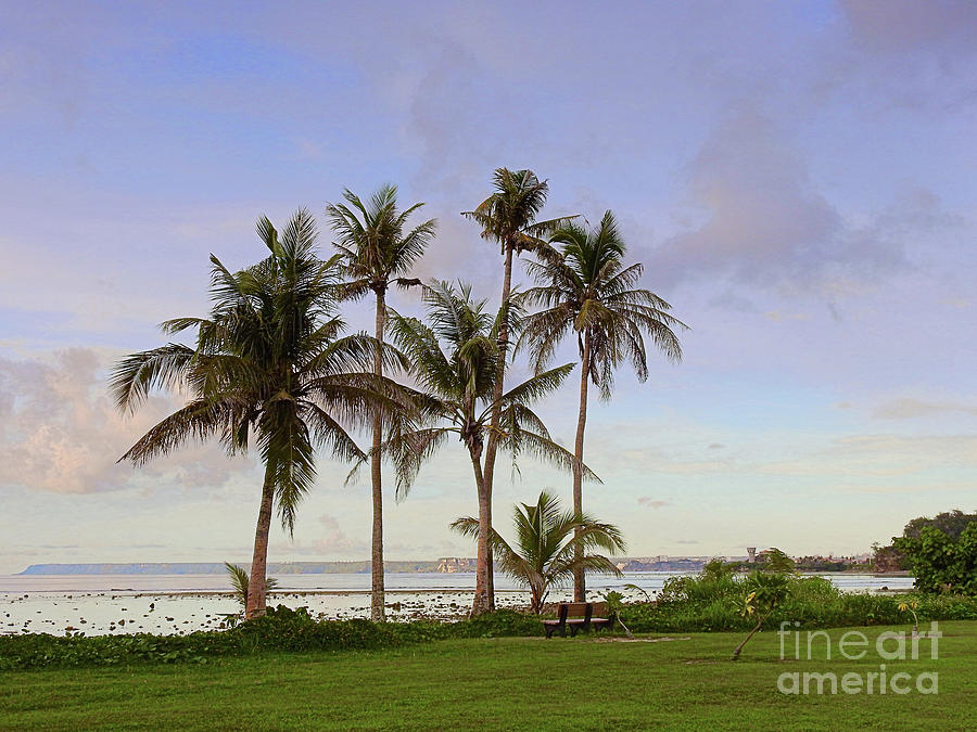 Coastal Landscape - Guam Photograph by Scott Cameron