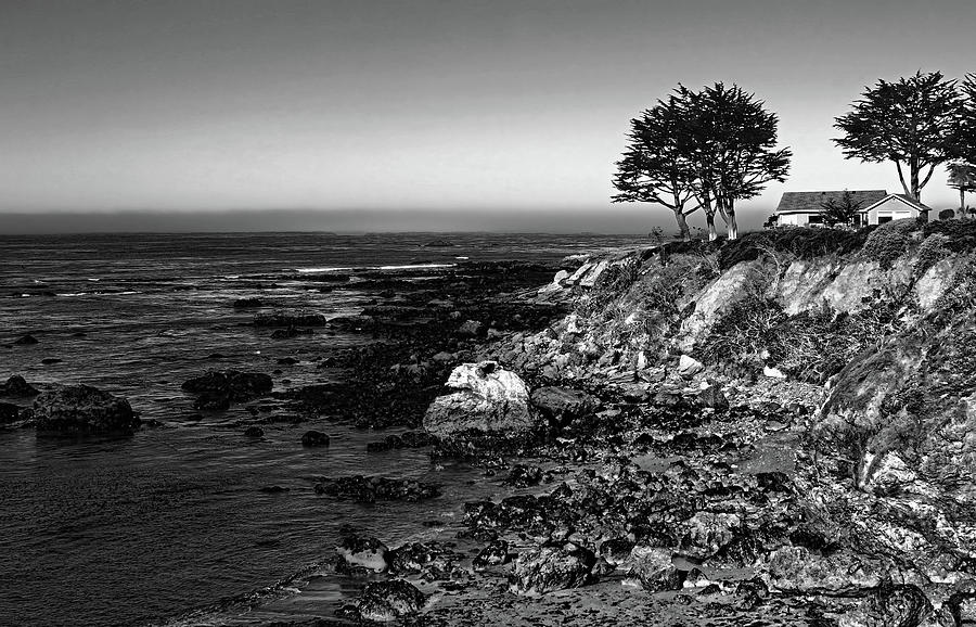 Coastal Living Black and White Photograph by Judy Vincent