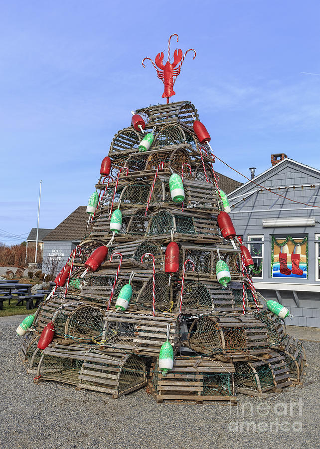 Coastal Maine Christmas Tree Photograph by Edward Fielding Pixels