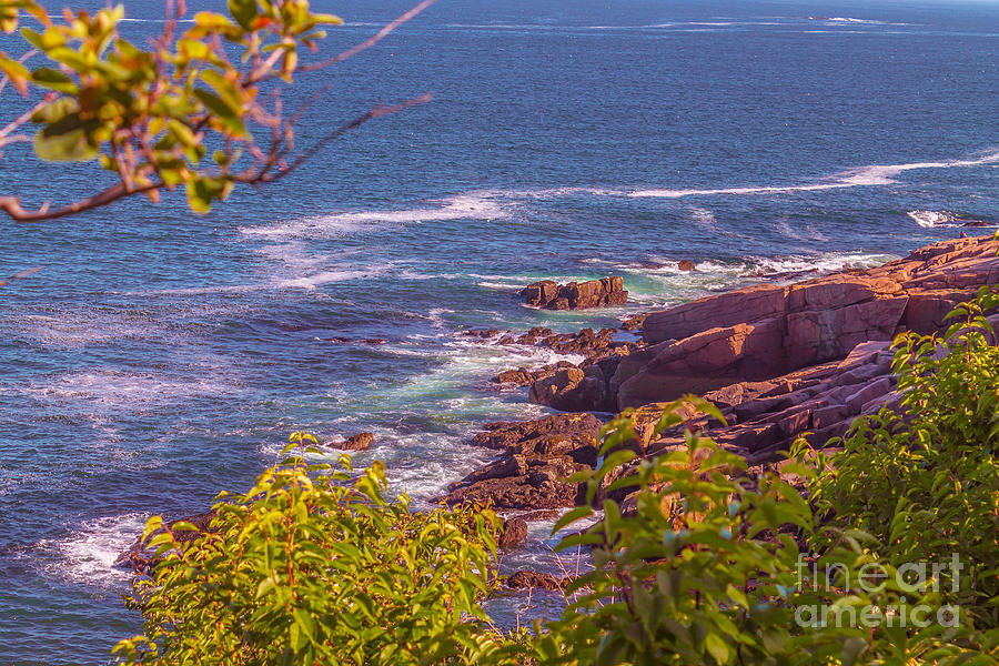 Acadia National Park Photograph - Coastal Maine in Acadia by Claudia M Photography