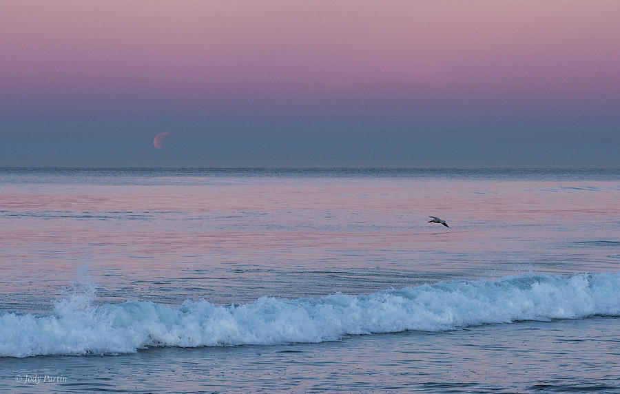 Coastal Moonset Photograph by Jody Partin