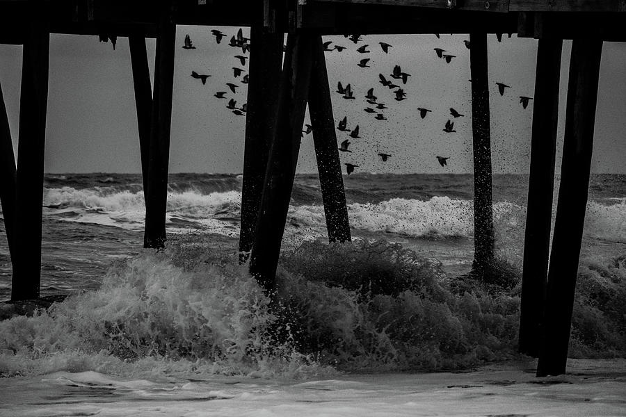Coastal Movements Photograph by Nicole Lloyd