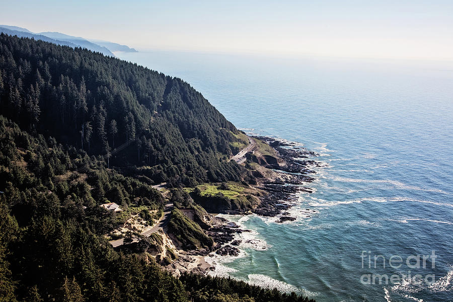 Coastal Oregon Photograph by Scott Pellegrin