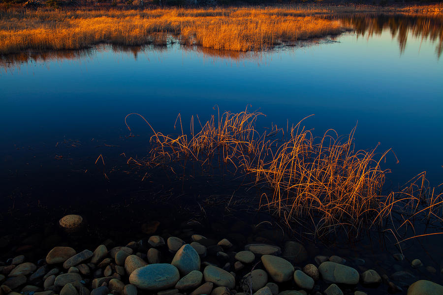 Coastal Pond Sunset #2 Photograph by Irwin Barrett