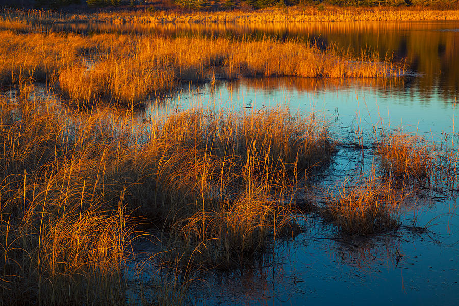 Coastal Pond Sunset Photograph by Irwin Barrett