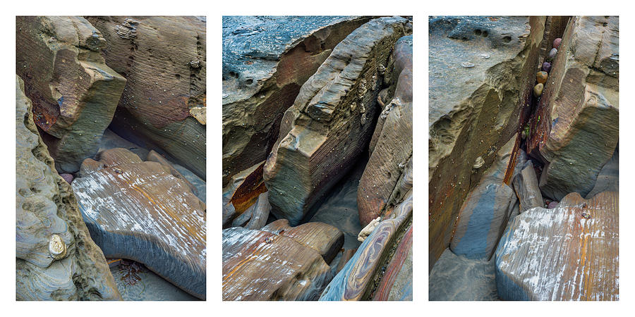 Coastal Rocks Collage Photograph by Alexander Kunz