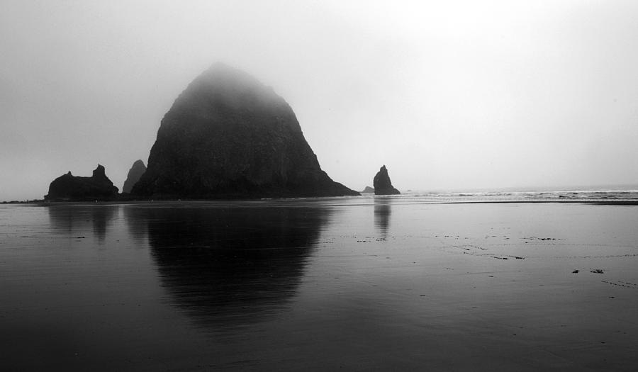 Coastal Serenity Photograph by Sue Cullumber