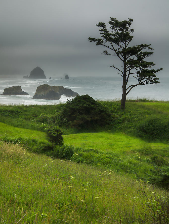 Coastal Solitude Photograph by Don Schwartz