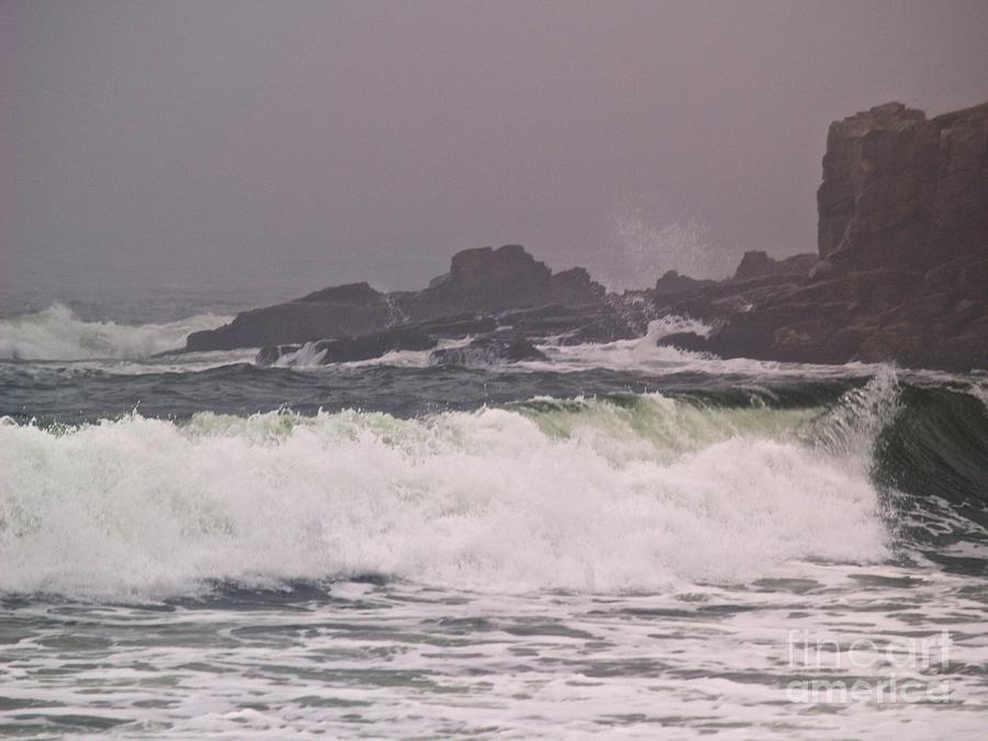 Coastal Storm Photograph by Paul Galante