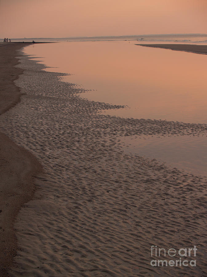 Coastal Strand at Dawn on Hunting Island Photograph by Anna Lisa Yoder