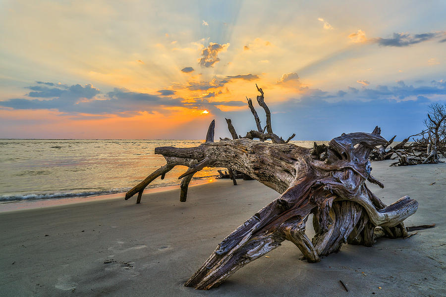 Coastal Sunrise - Charleston SC Photograph by Donnie Whitaker