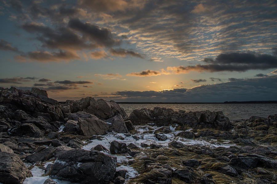 Coastal Sunrise  Photograph by Tony Pushard