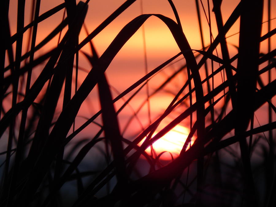 Coastal Sunset Photograph by Jan Gelders