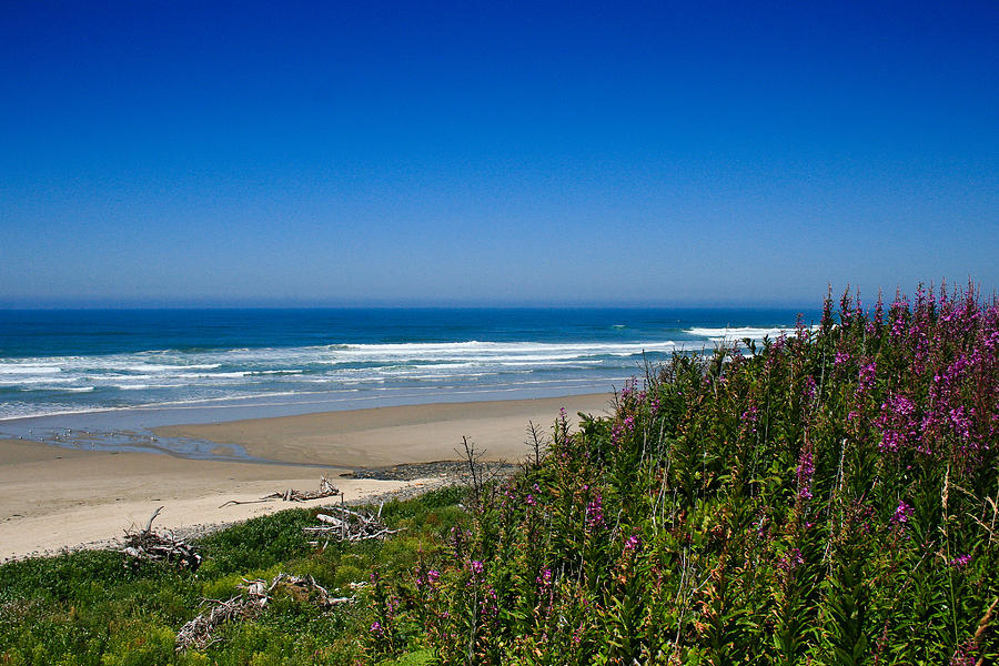 Coastal View - Oregon - Roads End State Recreational Area Photograph by Diane Mintle