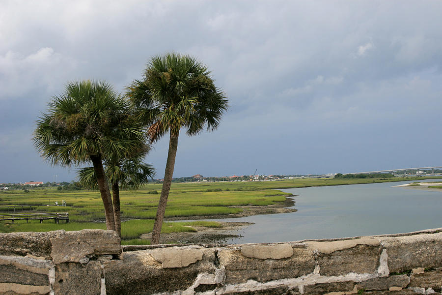 Tree Photograph - Coastal Views at St. Augustine by Toni Hopper
