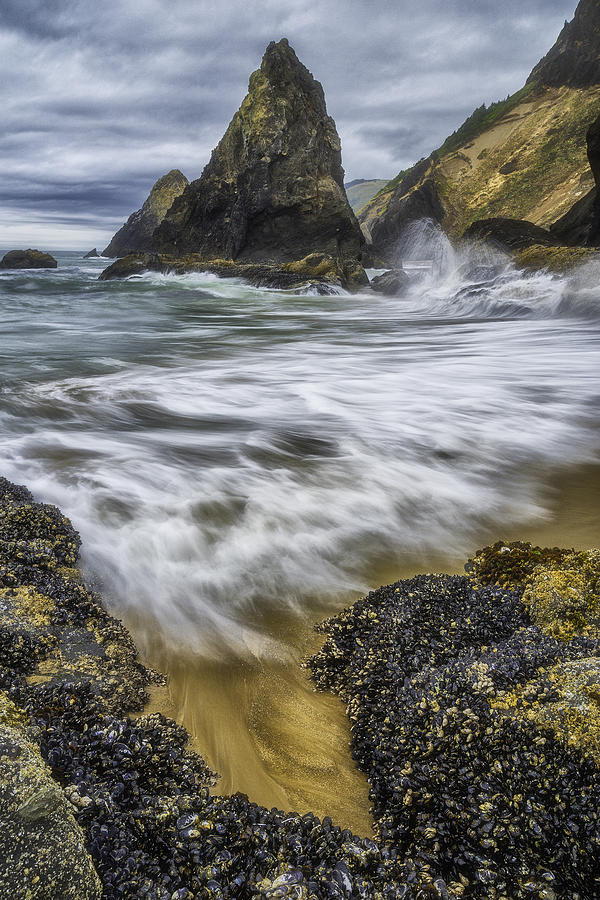 Coastal Wash Photograph by Darren White