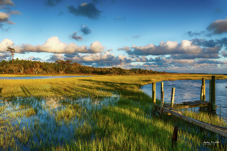 Coastal Wet Lands Photograph by Jody Merritt