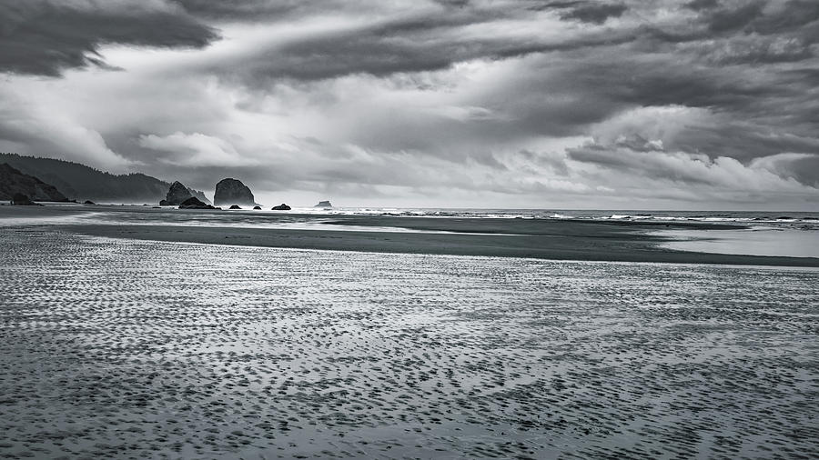 Coastal Whisper Photograph by Don Schwartz