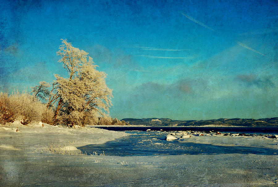 Winter Photograph - Coastal Winter Scene by Randi Grace Nilsberg