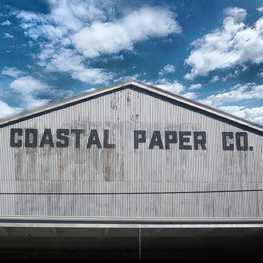 Typography Photograph - #coastalpaperco #letters #lettering by Casey Cole