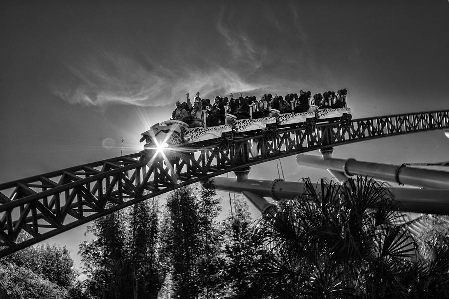 Coaster Ride Photograph by Kevin Cable