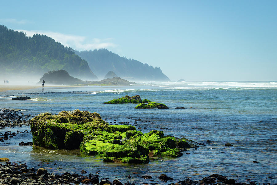 Coastline, Hug Point, Oregon Coast Photograph by Aashish Vaidya
