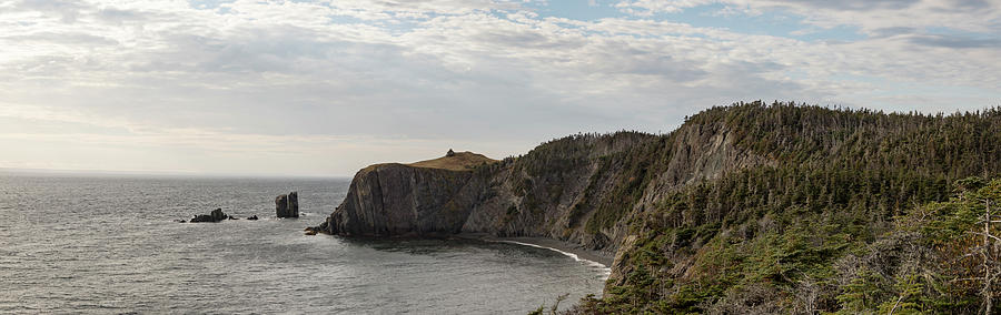 Coastline of Skerwink Trail, Trinity, Newfoundland, Canada  Photograph by Karen Foley
