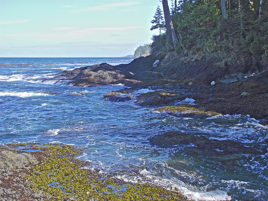 Coastline of Tongue Point in Salt Creek Recreation Area on Olympic Peninsula, Washington  Photograph by Ruth Hager