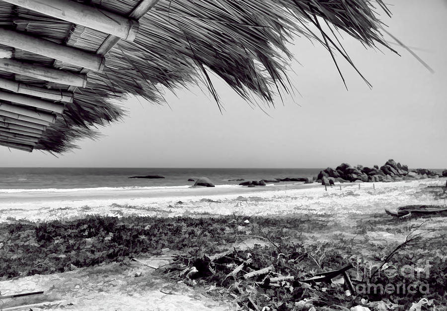 Coastline Phat Thiet Vietnam Black White  Photograph by Chuck Kuhn
