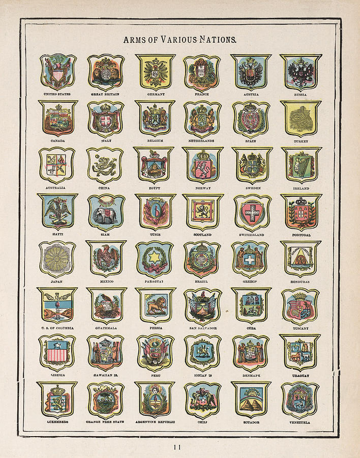 Vintage Drawing - Coat of arms of Various nations - Historical map by Studio Grafiikka