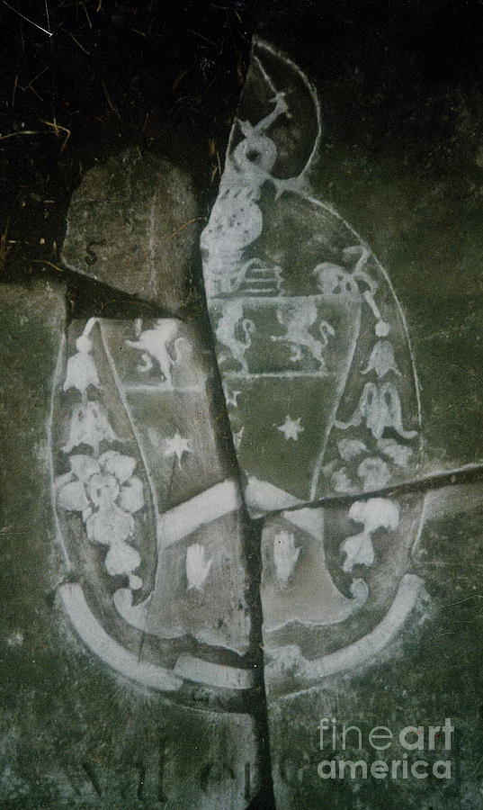  Coat of Arms Photograph by Val Byrne